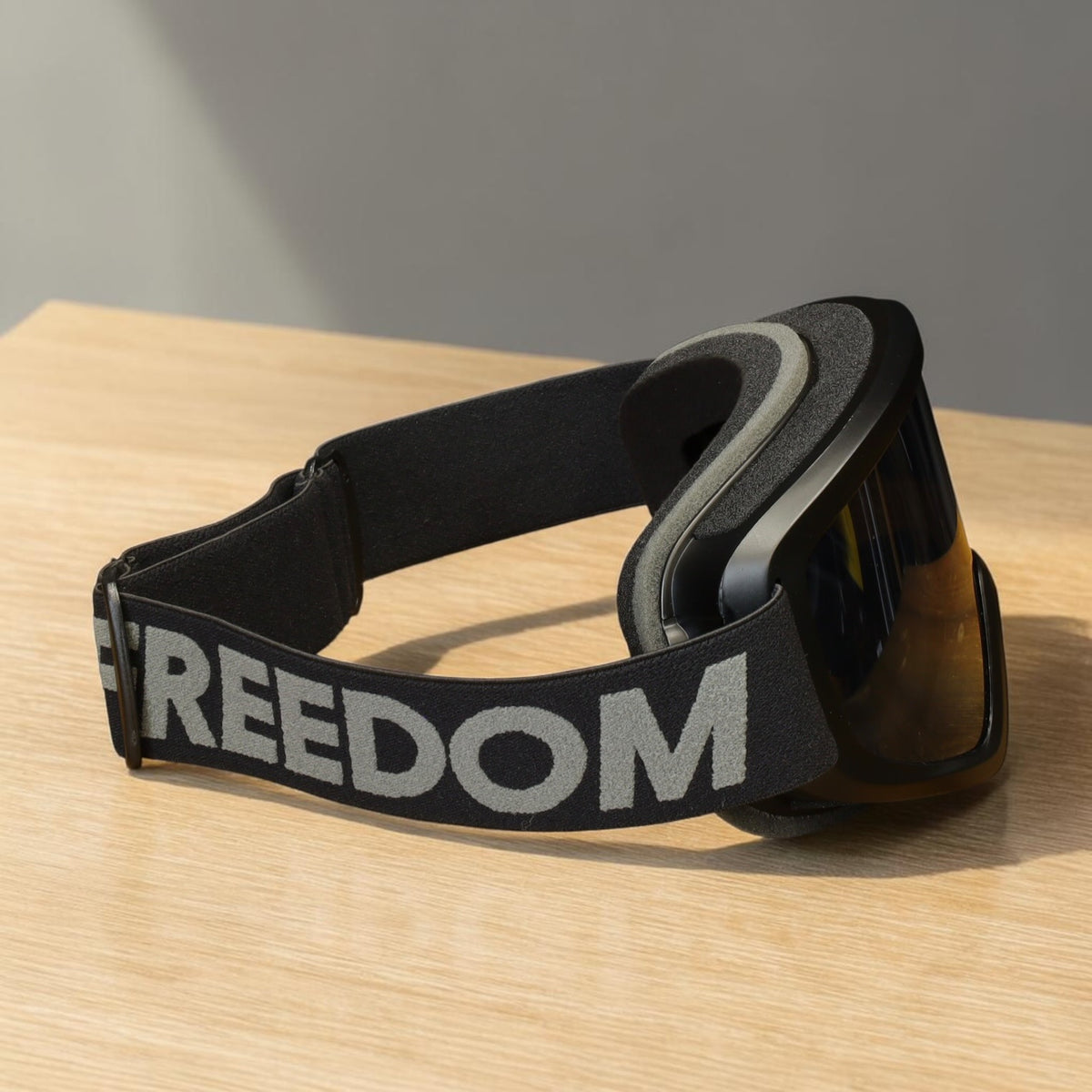 HolyFreedom ホーリーフリーダム ゴーグル 【RAPINA GOGGLES】 スモークレンズ