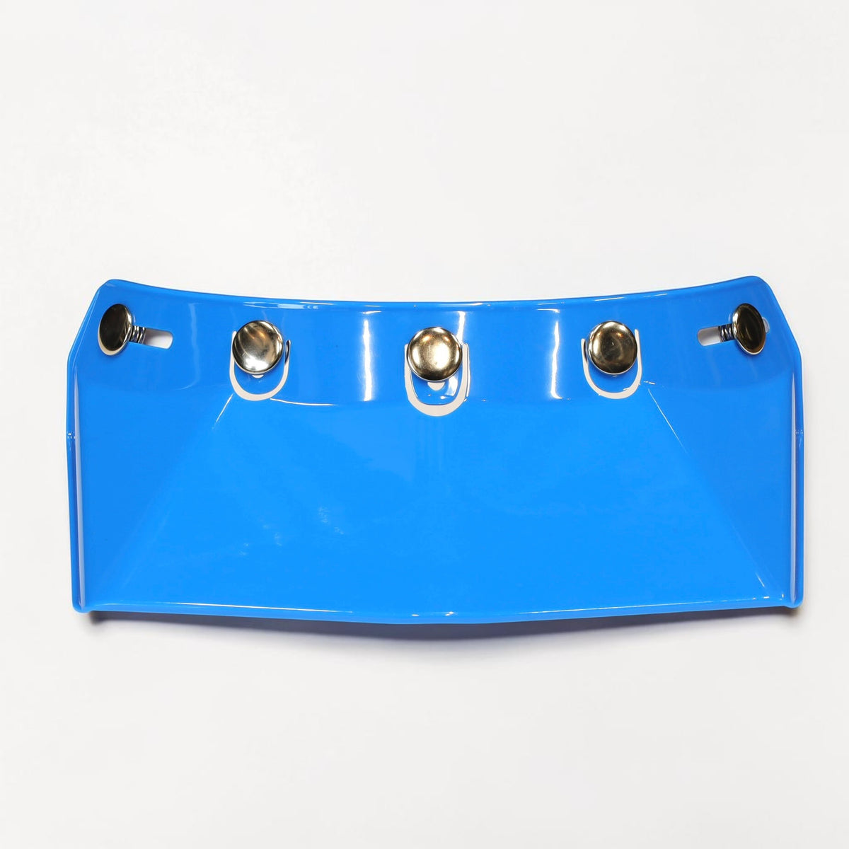 HOLYFREEDOM ホーリーフリーダム バイザー "RINALDI BLU VISOR"