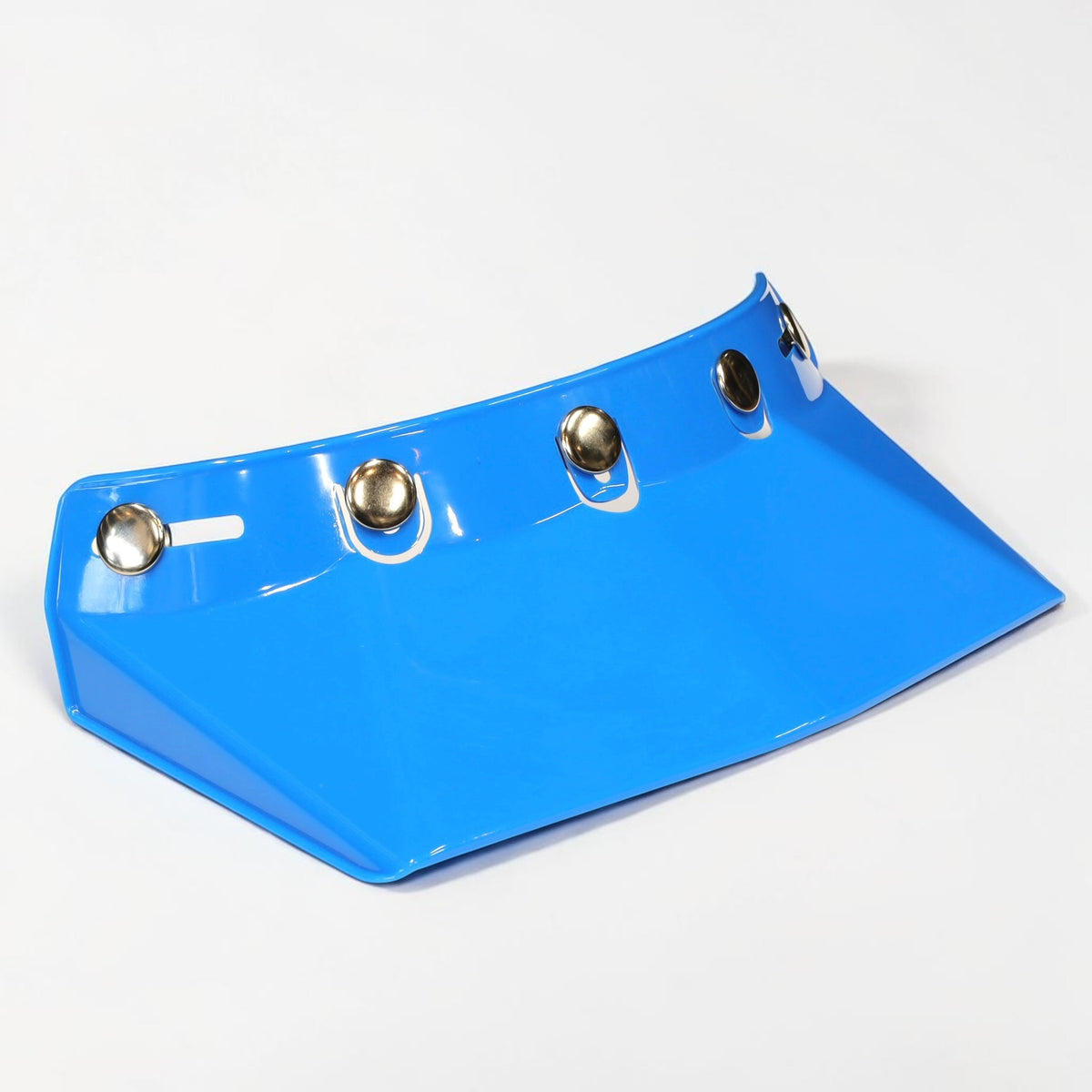 HOLYFREEDOM ホーリーフリーダム バイザー "RINALDI BLU VISOR"
